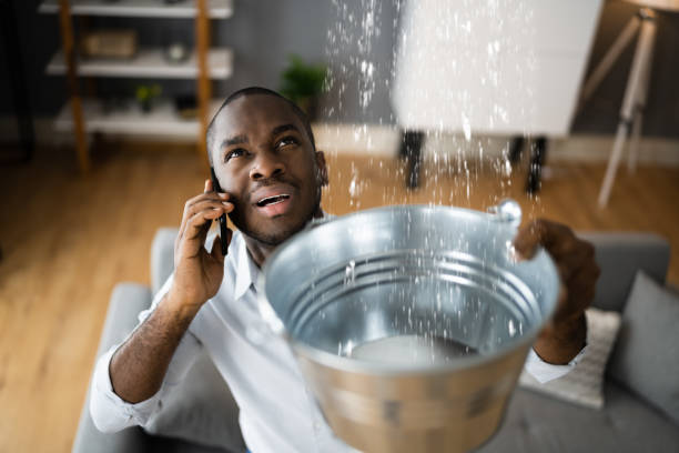 Best Water damage restoration cost  in Newpt, OR