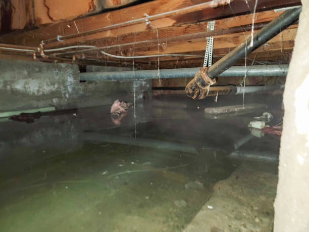 Water damage restoration process in Newport, OR