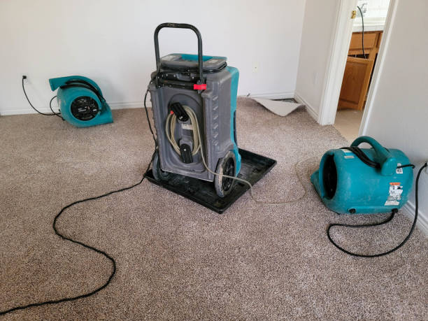 Best Carpet water damage restoration  in Newpt, OR