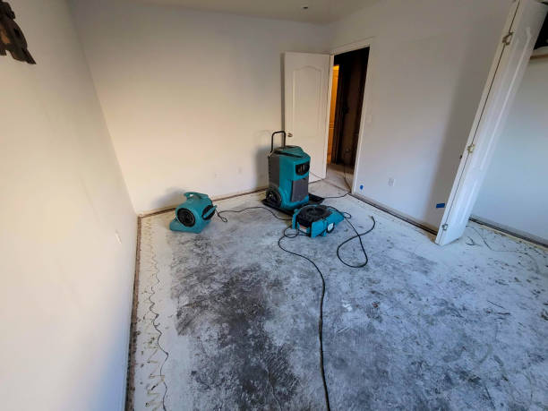 Best Water damage restoration company  in Newpt, OR