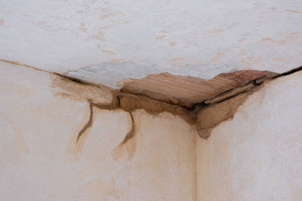 Carpet water damage restoration in Newport, OR