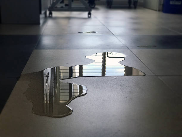 Best Emergency water damage restoration  in Newpt, OR