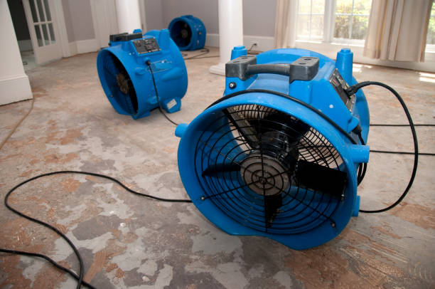 Best Flood restoration services  in Newpt, OR