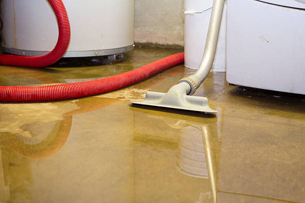 Best Water damage restoration process  in Newpt, OR