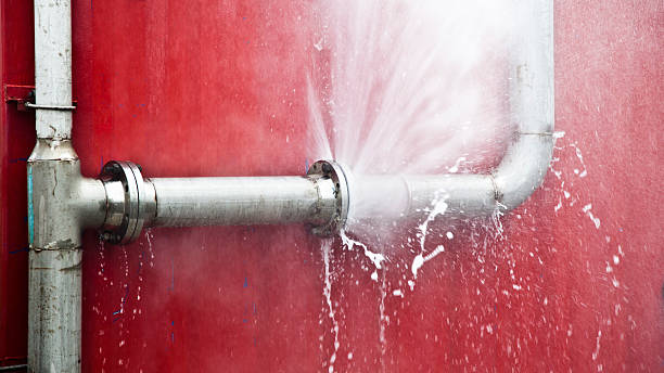 Best 24/7 water damage repair  in Newpt, OR