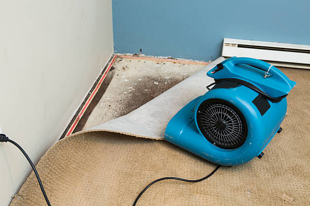 Best Residential water damage restoration  in Newpt, OR
